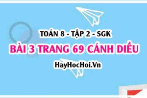 Bài 3 trang 69 Toán 8 Tập 2 Cánh Diều